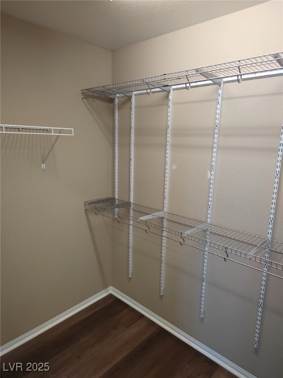 Building Photo - 3119 Biccari Ave