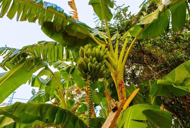 Building Photo - 10874 71st Ave