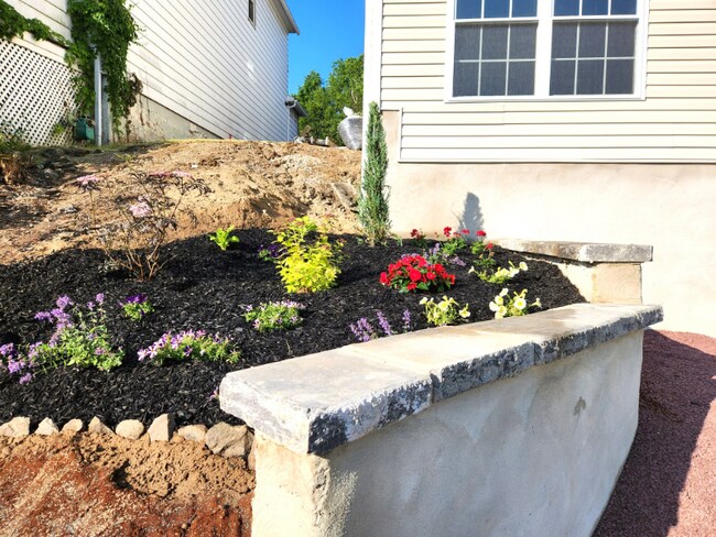 Building Photo - 19 Rutter St