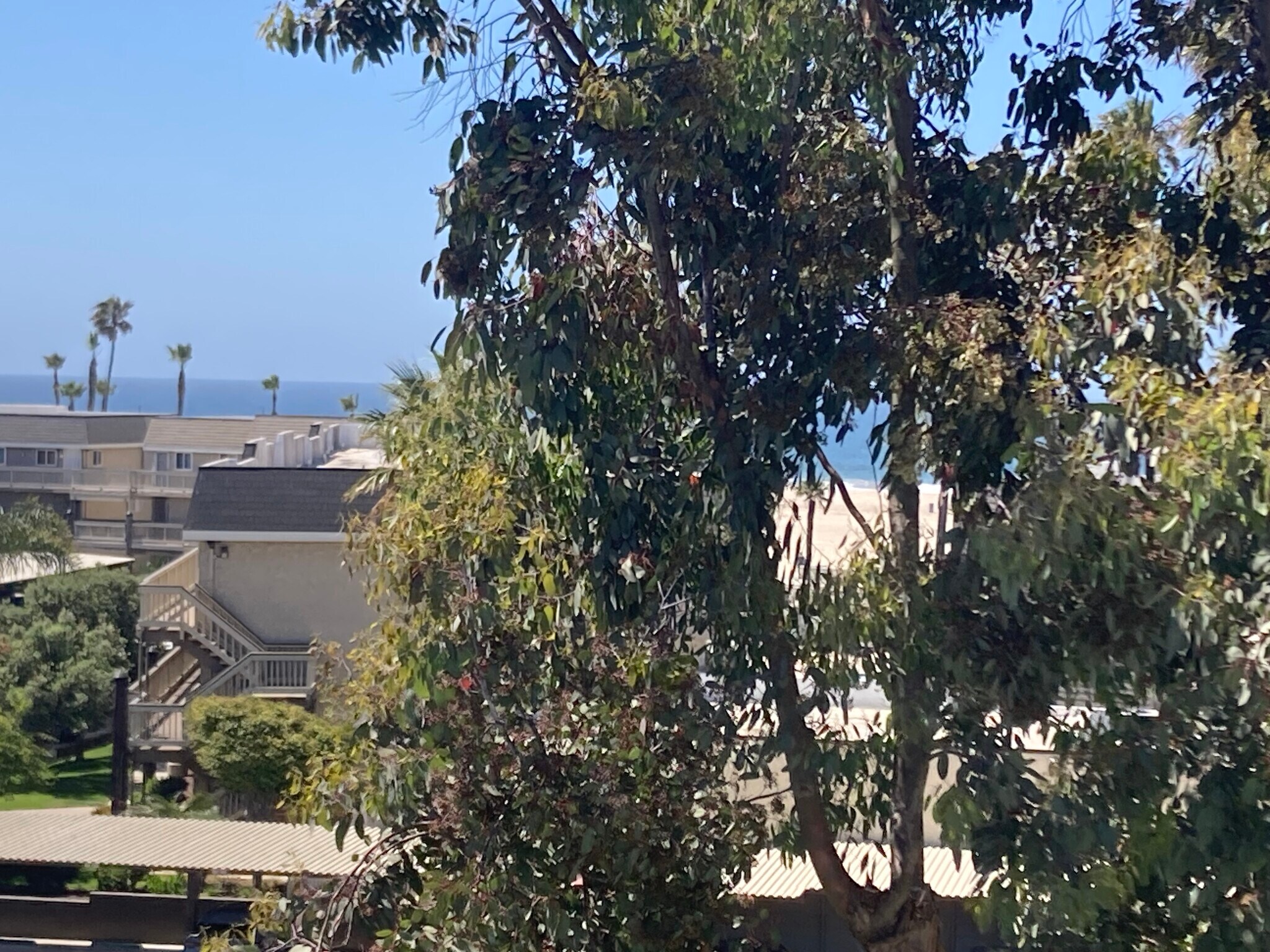 Building Photo - 259 S Ventura Rd