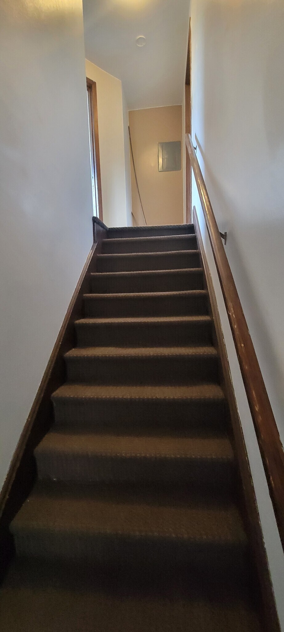 Stairs to upstairs unit - 353 Emma St