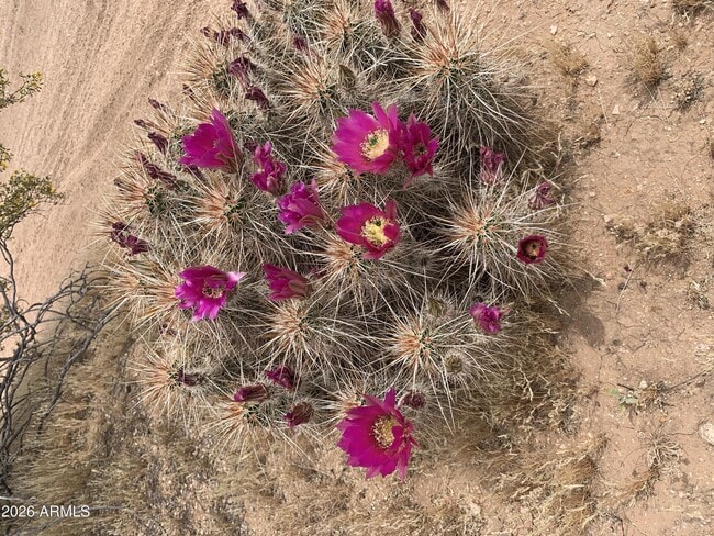 Building Photo - 4052 E Chaparosa Way