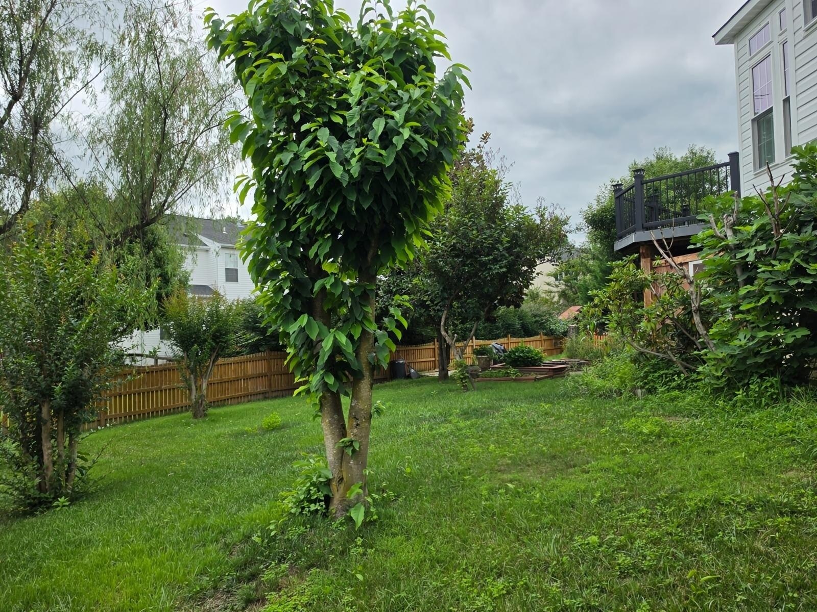 Building Photo - 17204 Sumac Ct