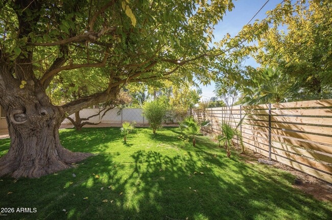 Building Photo - 2026 S El Camino Dr