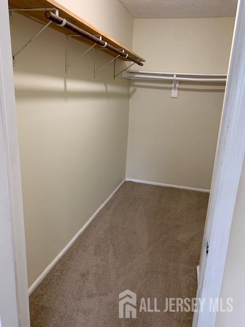 Building Photo - 72 Joyner Ct