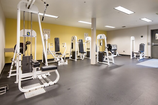 Fully equipped fitness center - 2415 2nd Ave