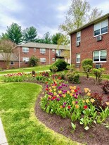 Building Photo - Pine Hill Apartments