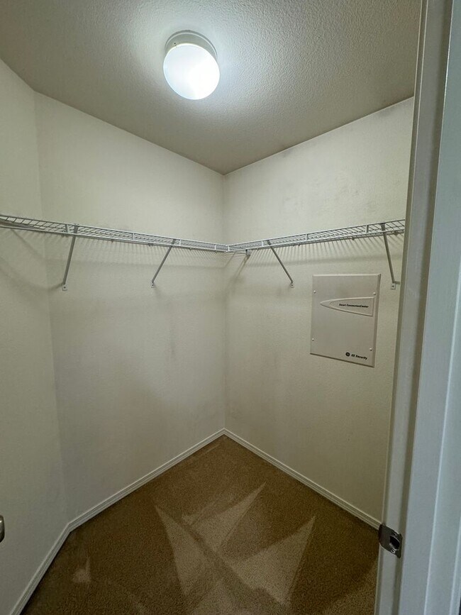 Building Photo - Open Concept 2 Story Home - Lacey