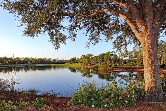 Building Photo - AVAILABLE NOW IN IBIS LANDING