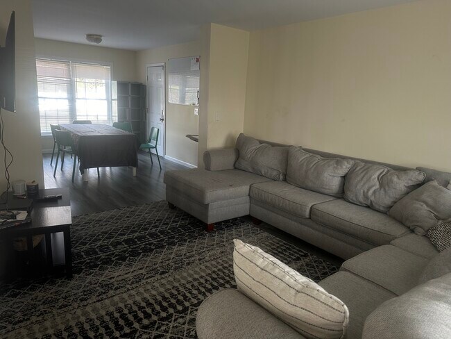 Living Area Ground level - 209 Wilmer St