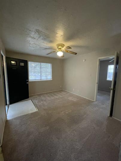 Building Photo - Charming 1-Bedroom Retreat on Billie Dr