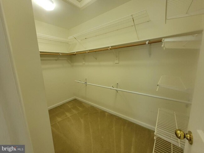 Building Photo - 20872 Ivymount Terrace