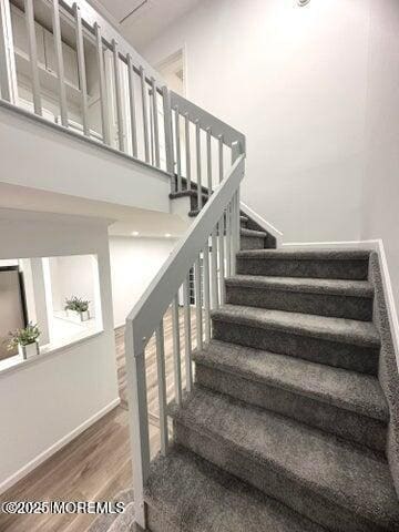 Building Photo - 16 Gerard Pl