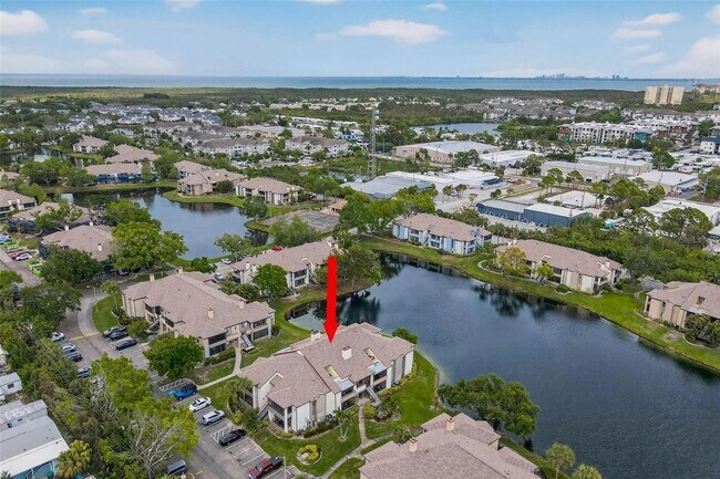 Building Photo - 10263 Gandy Blvd N