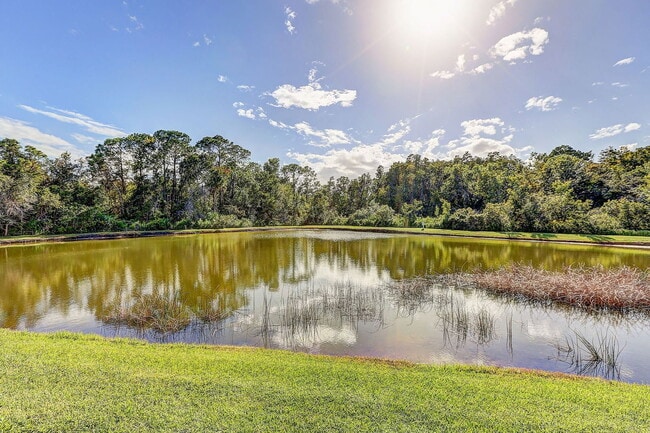 Building Photo - 27128 Big Sur Dr
