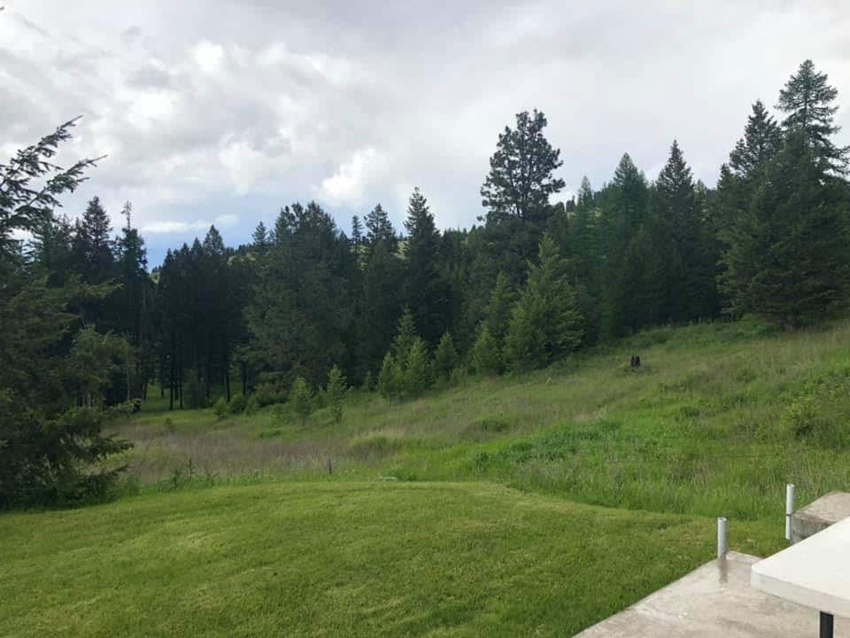 Beautiful views - 1257 Smith Lake Rd