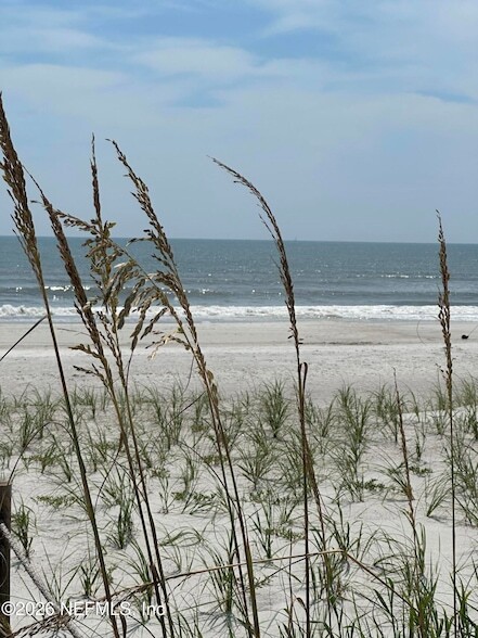 Building Photo - 935 Seashell Ln