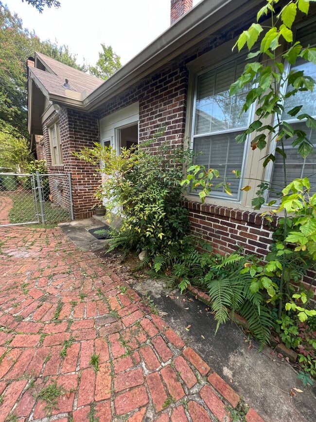 Building Photo - YELLOWBUNNY- 3352/3354-MONTEZUMA DUPLEX-CAMELIA-255/256