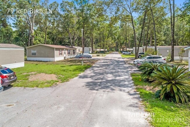 Building Photo - 79 Red Bird Ln-