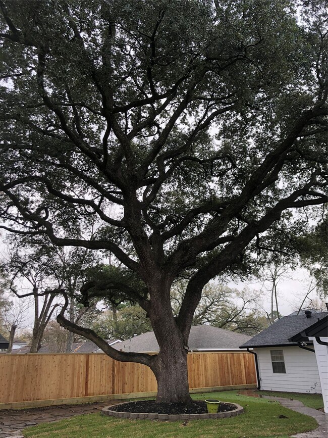 Building Photo - 1346 Chantilly Ln