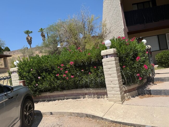 Building Photo - 797 W Mesa Verde Dr