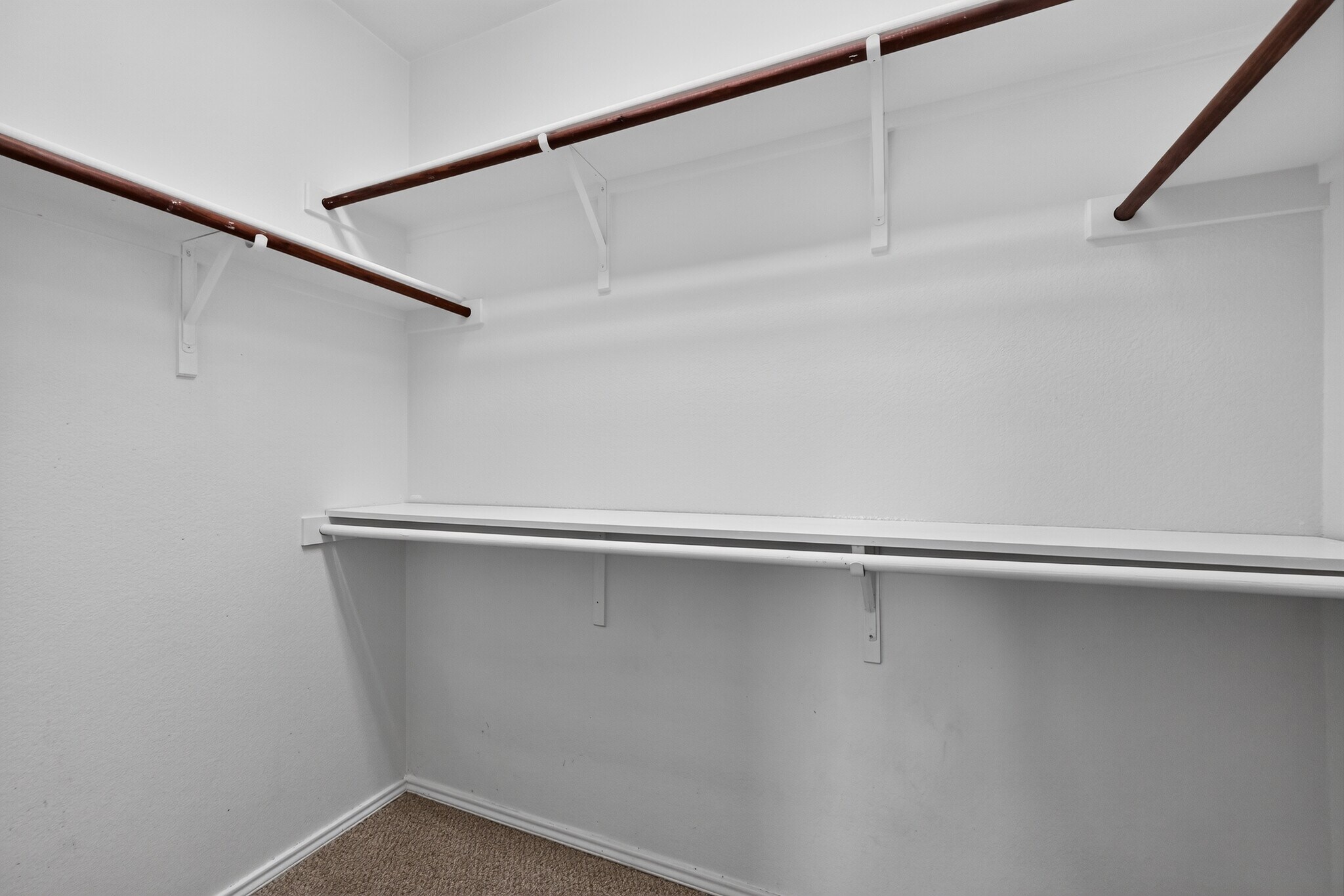 Building Photo - 1009 Youkum Ct