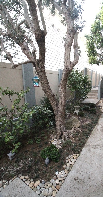 Building Photo - 720 S Elvira Ave
