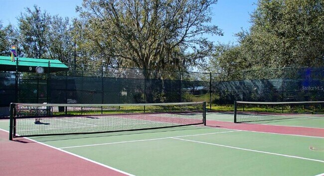 Building Photo - 2435 Palm Tree Dr