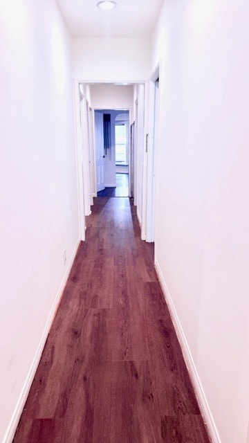 corridor - 3619 Dunn Dr