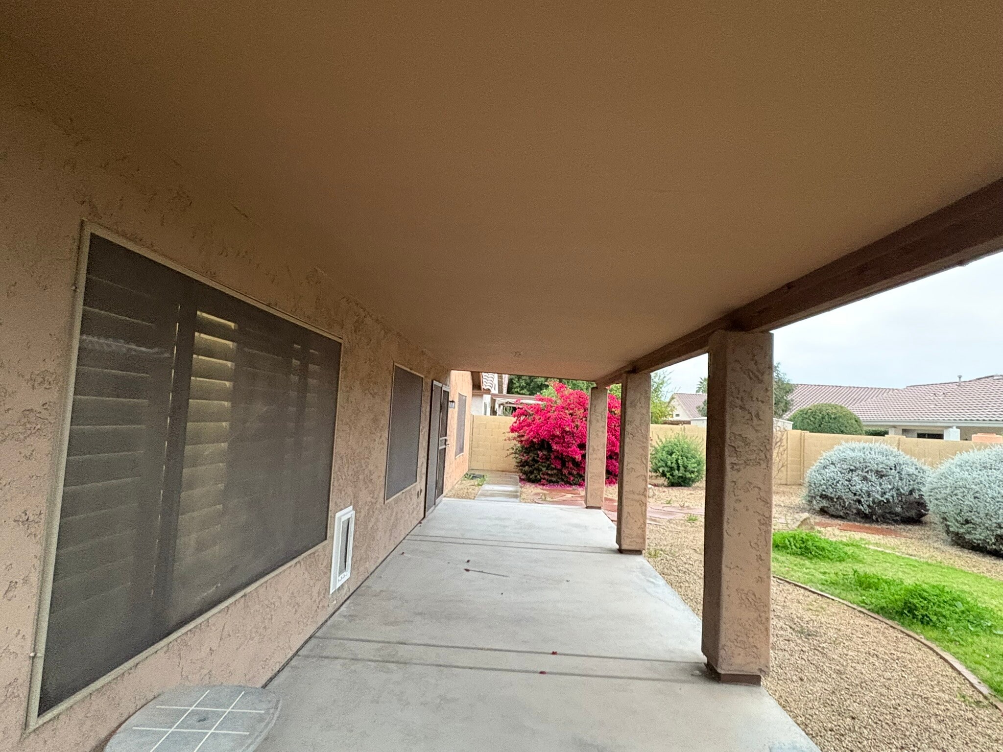 Backyard - 461 E Pinto Dr