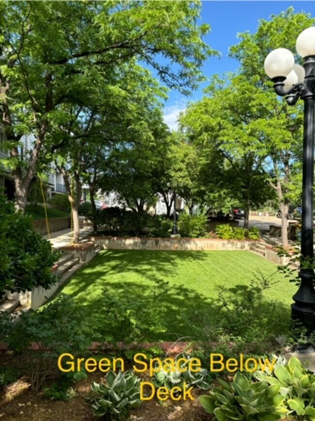 Building Photo - Pearl Street 1BR | Walkable, Remodeled, Covered Parking