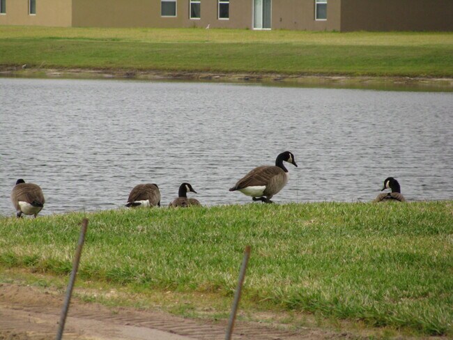 Building Photo - 3905 Flowering Orchid Ln