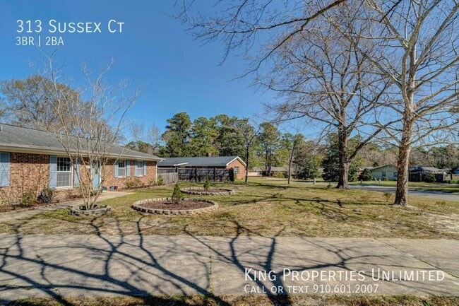 Building Photo - 313 Sussex Ct