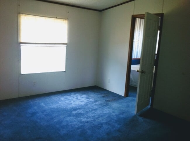 Building Photo - 12443 Farm to Market 968 W