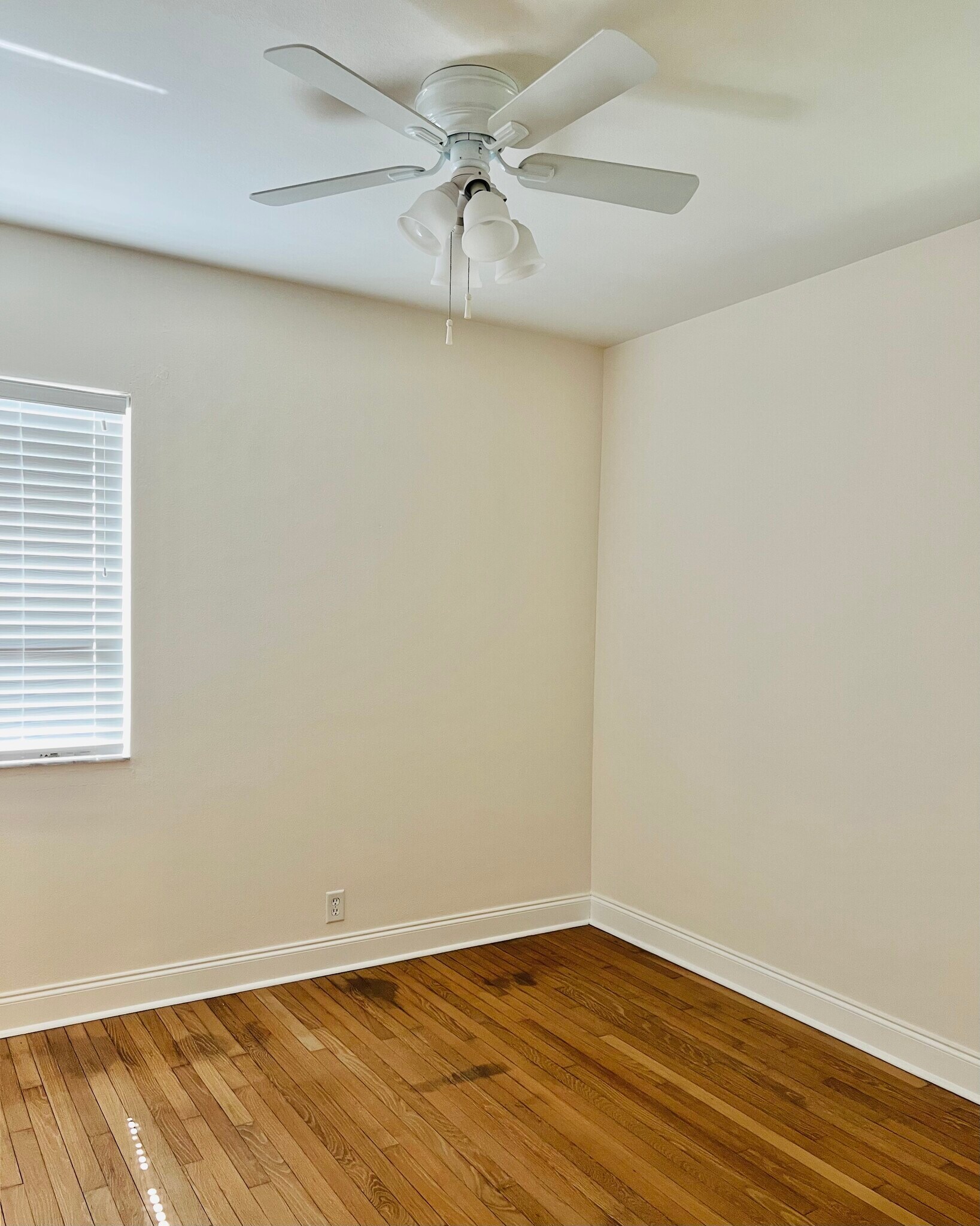 Guest bedroom 1 - 6446 Dartmouth Ave N