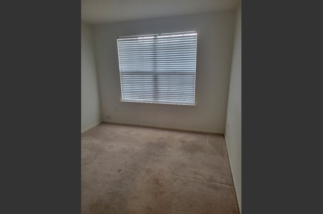 Building Photo - 1495 Blue Sky Way