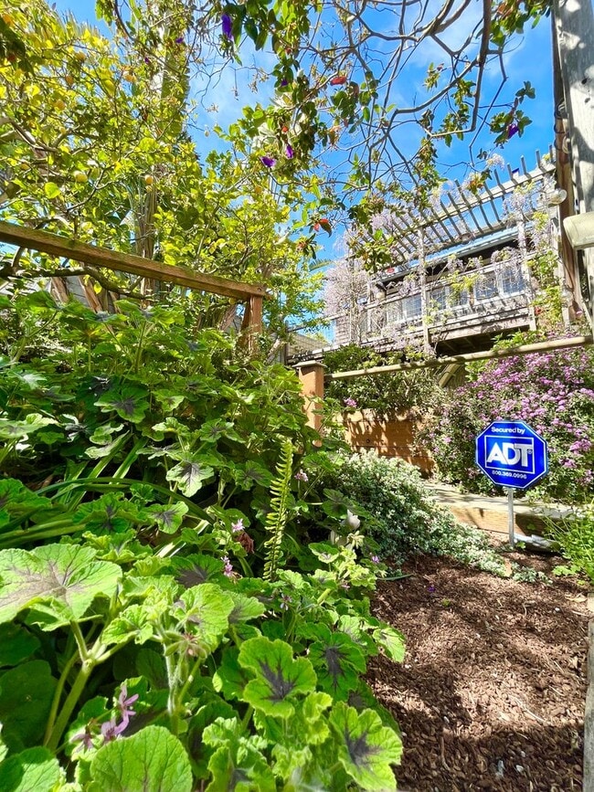 Building Photo - Bernal Heights Garden Cottage - Pet Friendly!