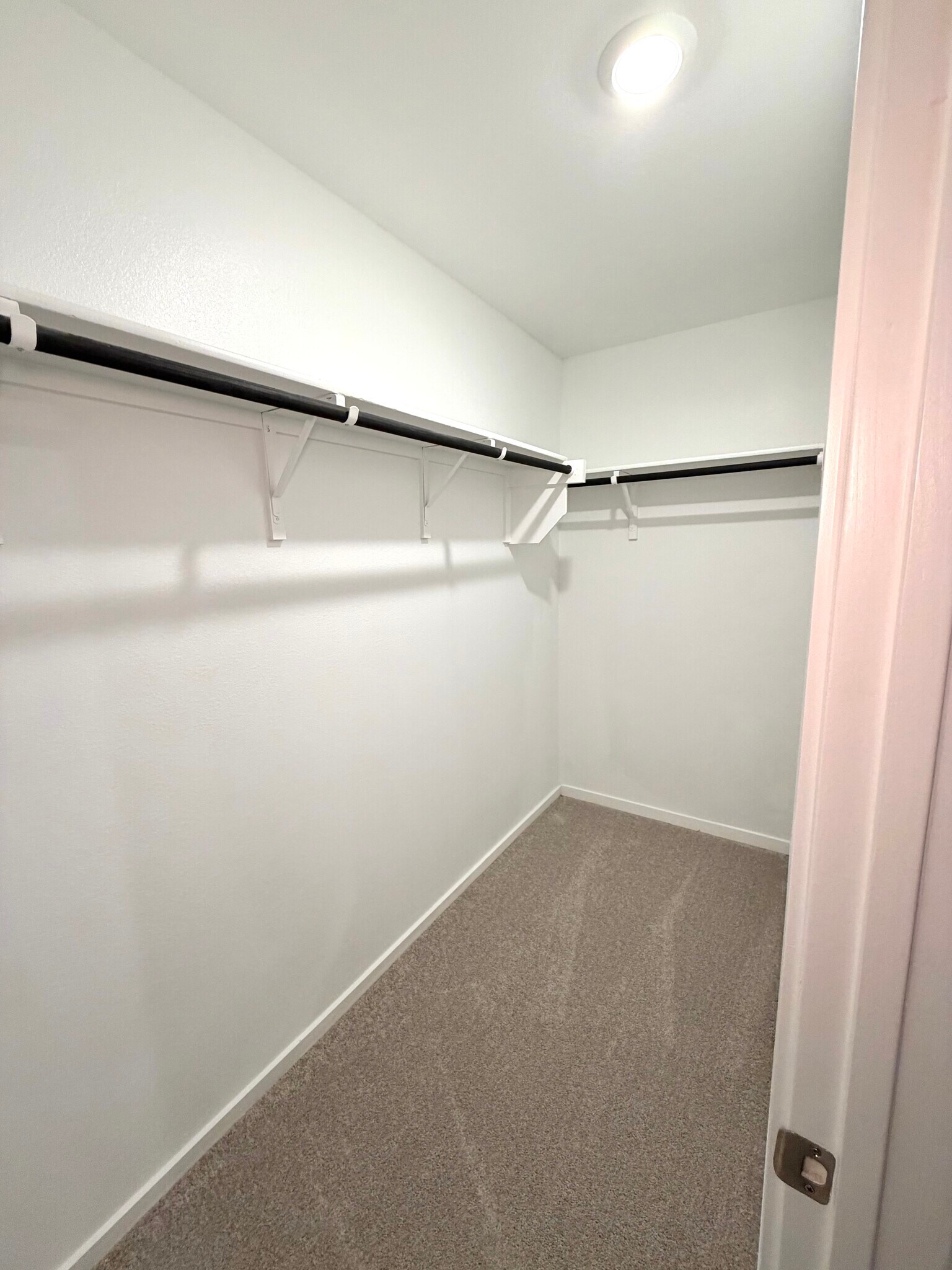 Building Photo - 3703 Oleander Pl