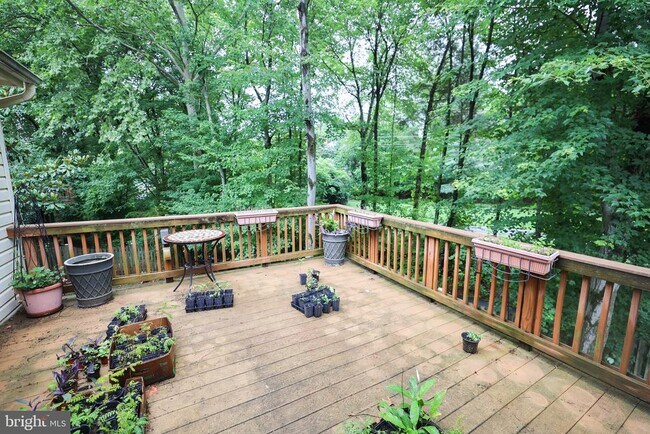 Building Photo - 13601 Old Chatwood Pl
