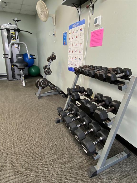 Building Photo - 2305 Bay Dr