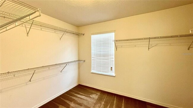 Building Photo - 3721 Maidencain St