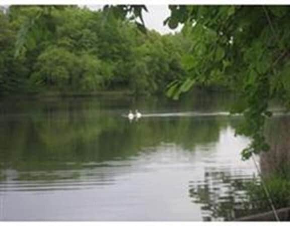 Building Photo - 33 Pond Ave