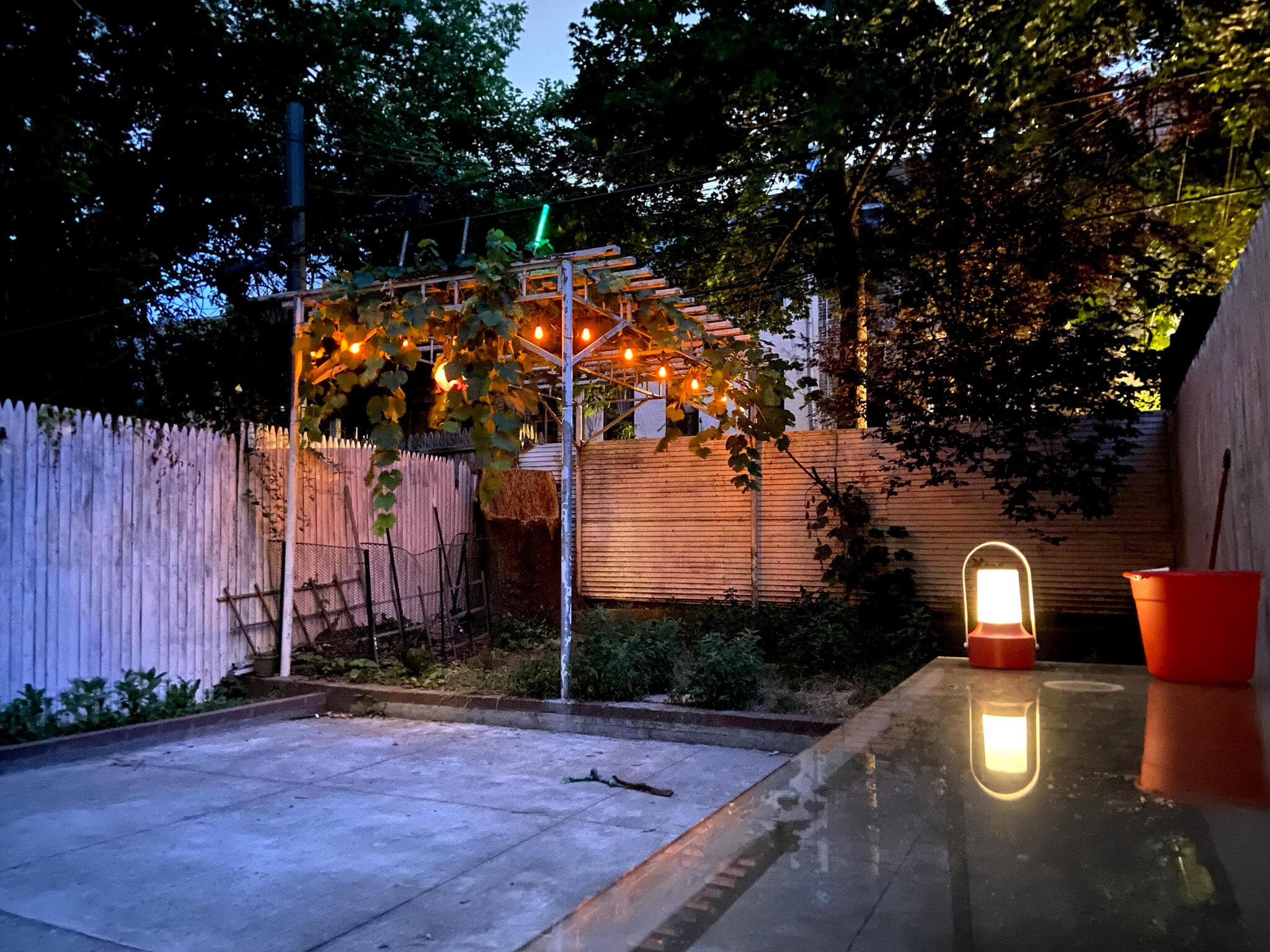 Garden at night - 451 51st St