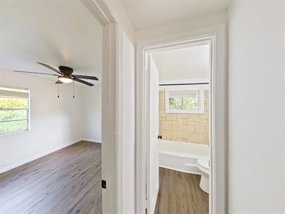 Building Photo - 230 Daffodil St