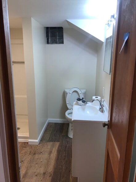 Downstairs Bath - 412 W 20th St