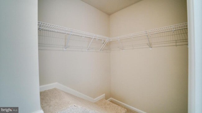Building Photo - 103 Brashear Ct