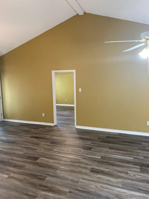 Building Photo - 556 Aila St