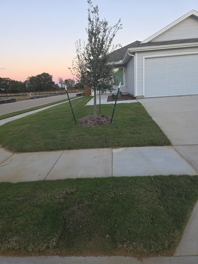 Building Photo - 3040 Burmese St