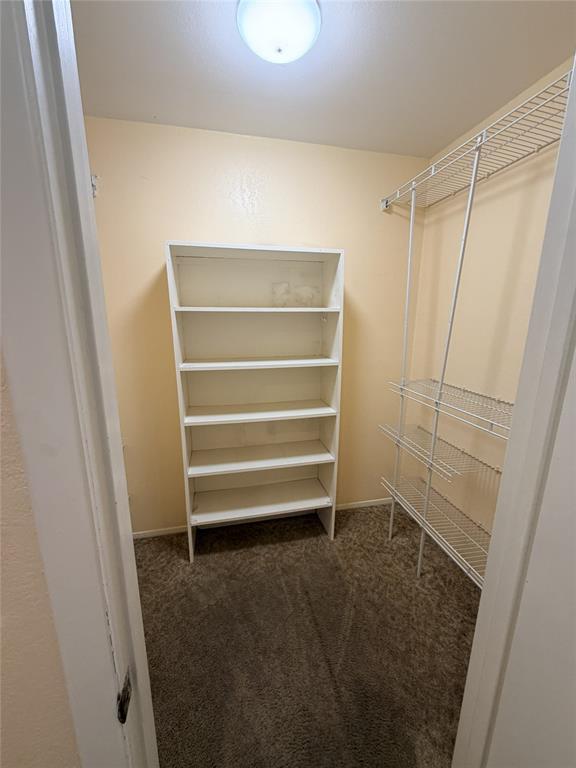 Building Photo - 1008 Clayton Nolen Dr
