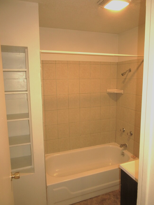 bathroom - 306 W Maple St